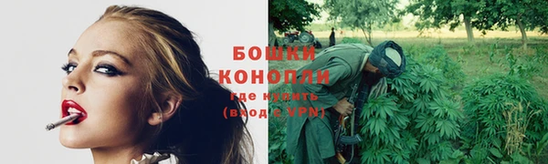 винт Богданович