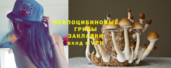 прущие грибы Белоозёрский