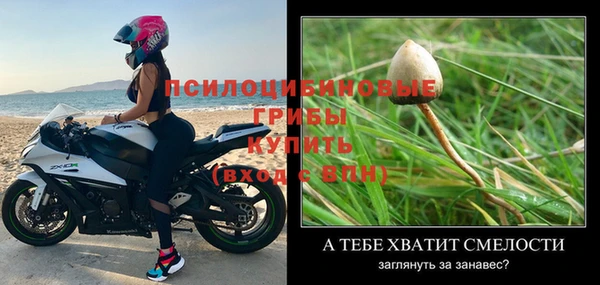 винт Богданович