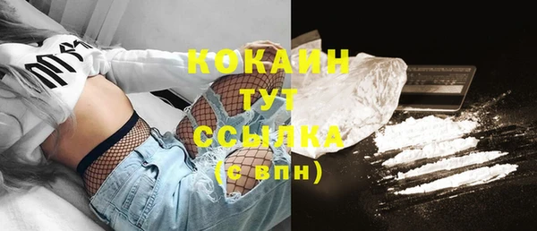 шишки Семикаракорск