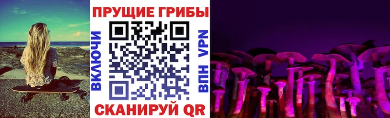 купить сайты Челябинск Псилоцибиновые грибы Psilocybe